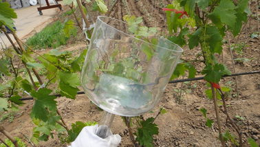 Handle clear crystal singing bowls with bag