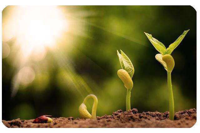 Proporciona una taza de canto helada con tono de chakra CDEFGAB 10